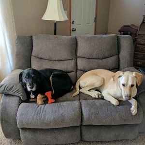 Meet your Posher, Shirley